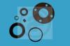 AUTOFREN SEINSA D4284 Repair Kit, brake caliper