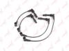 LYNXauto SPE5916 Ignition Cable Kit