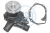 LASO 19200102 Water Pump
