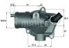 BEHR TI2892 Thermostat, coolant