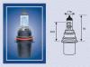 MAGNETI MARELLI 002555200000 Bulb, spotlight; Bulb, headlight; Bulb