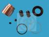 AUTOFREN SEINSA D41101C Repair Kit, brake caliper