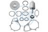 LASO 55582043 Repair Kit, water pump