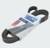 FINWHALE BP6700 V-Ribbed Belts