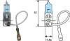 MAGNETI MARELLI 002604100000 Bulb, fog light; Bulb