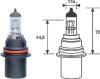 MAGNETI MARELLI 002555200000 Bulb, spotlight; Bulb, headlight; Bulb