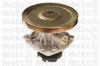METELLI 24-0566 (240566) Water Pump