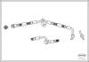 CORTECO 19033601 Brake Hose