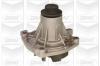 GRAF PA420A Water Pump