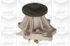 GRAF PA539 Water Pump