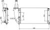 NRF 58072 Radiator, engine cooling