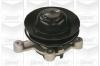 GRAF PA036 Water Pump