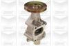 GRAF PA088 Water Pump