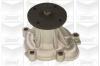 GRAF PA434 Water Pump