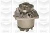 GRAF PA617 Water Pump