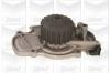 GRAF PA943 Water Pump