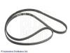 BLUE PRINT ADT39633 V-Ribbed Belts