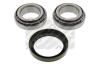 MAPCO 26625 Wheel Bearing Kit