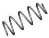 MEYLE 1006390000 Coil Spring