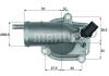 BEHR TH987 Thermostat, coolant