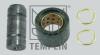 ST-TEMPLIN 03.070.0246.970 (030700246970) Repair Kit, brake shoe mounting