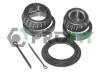 PROFIT 2501-0542 (25010542) Wheel Bearing Kit