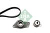 INA 530004110 Timing Belt Kit