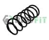 PROFIT 2010-0540 (20100540) Coil Spring