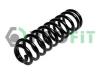 PROFIT 2010-1161 (20101161) Coil Spring