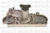 METELLI 24-0439 (240439) Water Pump