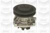 GRAF PA347 Water Pump