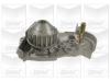 GRAF PA412 Water Pump