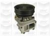 GRAF PA686 Water Pump