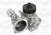 GRAF PA867 Water Pump