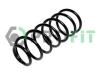 PROFIT 2010-1152 (20101152) Coil Spring