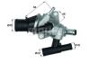 BEHR TI9583 Thermostat, coolant
