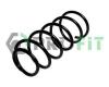 PROFIT 2010-0554 (20100554) Coil Spring