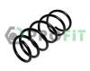 PROFIT 2010-0771 (20100771) Coil Spring