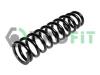 PROFIT 2010-0867 (20100867) Coil Spring