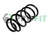 PROFIT 2010-1343 (20101343) Coil Spring