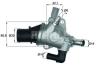 BEHR TI15488 Thermostat, coolant
