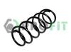 PROFIT 2010-0481 (20100481) Coil Spring