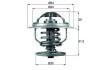 BEHR TX10987D Thermostat, coolant