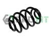 PROFIT 2010-0746 (20100746) Coil Spring