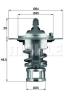 BEHR TX6577 Thermostat, coolant