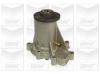 GRAF PA706 Water Pump