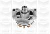 GRAF PA803 Water Pump