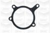 GRAF PA501 Water Pump