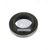 DT 1.24262 (124262) Seal Ring