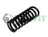 PROFIT 2010-1179 (20101179) Coil Spring